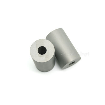 Độ cứng cao được đánh bóng Tungsten Carbide Cobalt Mold Die Độ cứng cao Tăng độ uốn cong đâm đấm đấm đấm móng vít ốc OEM